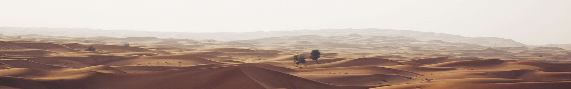 Źҵ޹˾
